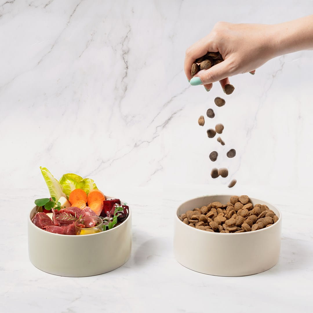 Comfy Appetit Vita Buffalo Karma Sucha Dla Dorosłych Psów Bawół 12kg